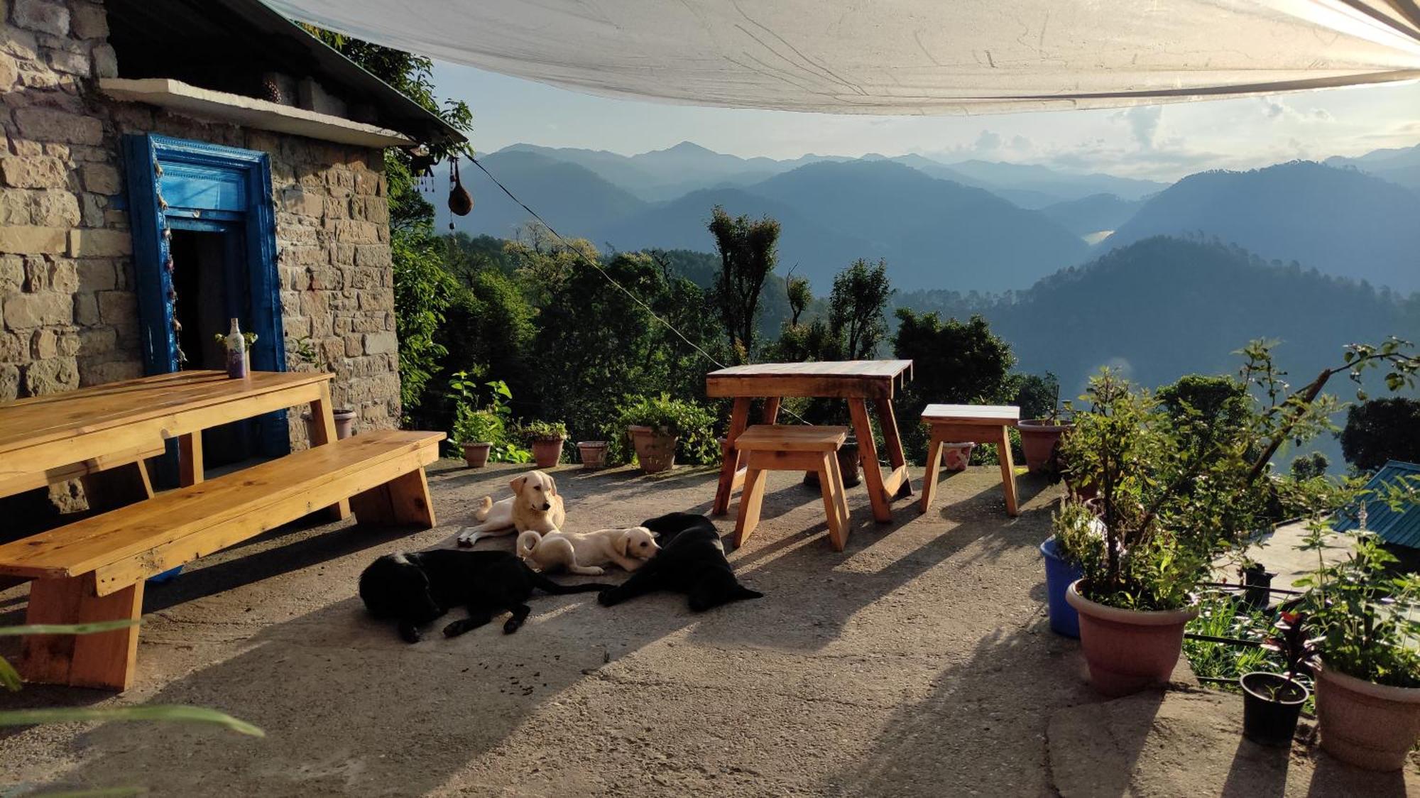 Vista Hostel Jeolikote, Nainital Patwa Dunga Quarto foto